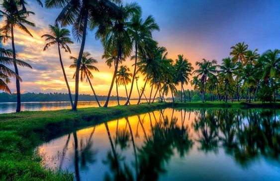 kerala tour packages