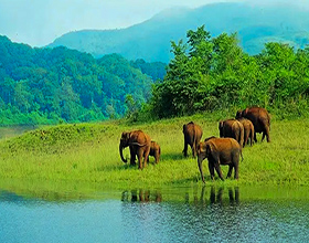 Kerala Houseboat and Jungle Safari