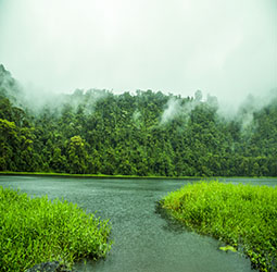 Adventure Park And Stay Experience in Coorg