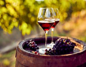 Experience Wine Tour With Lunch Near Nandi Hills Bangalore