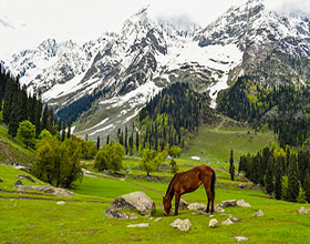 Marvelous Kashmir Tour